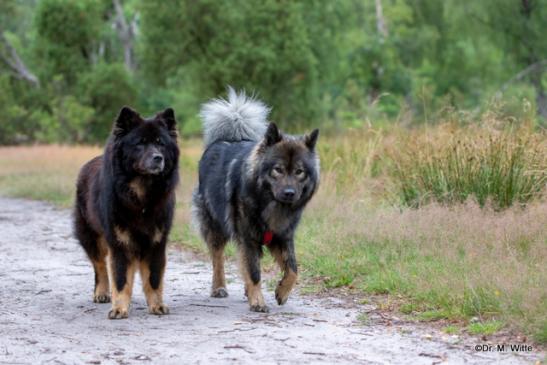 Birka vom Brenztal(li.) und Janne vom Lachsbach