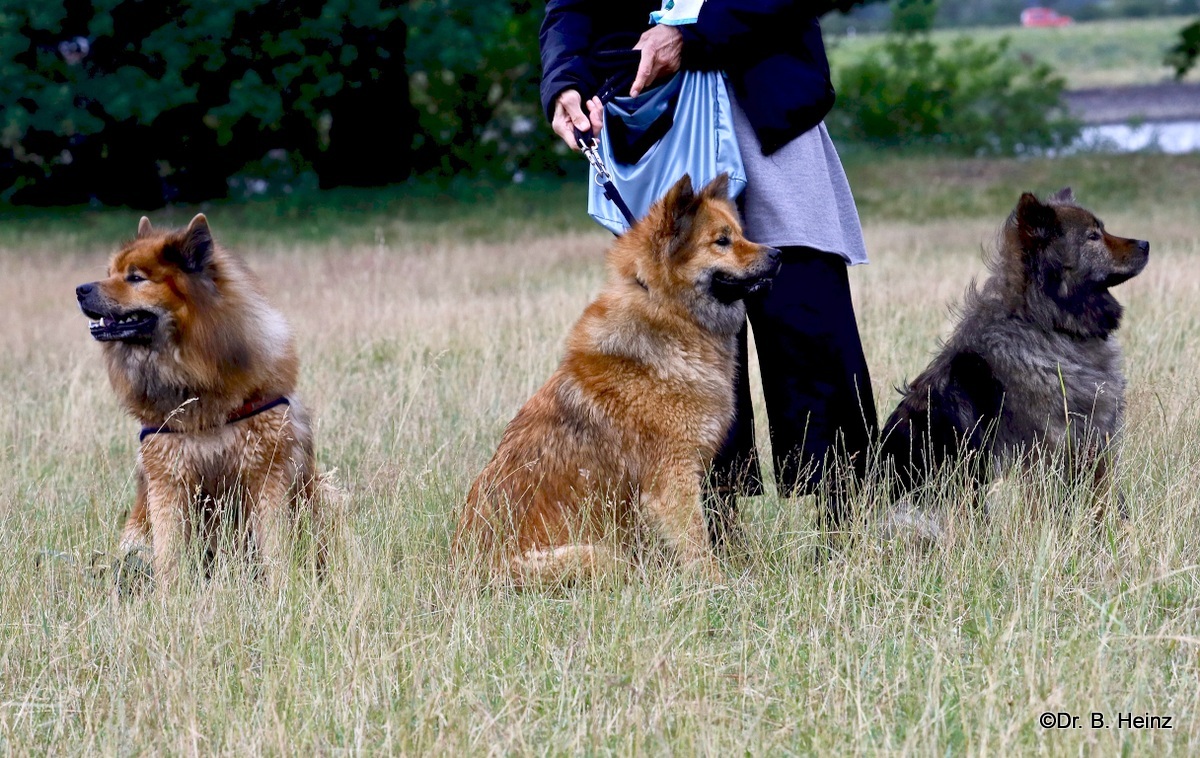 V. li.: Papa Buddy, Tochter Billie-Bijou und Mama Sanny