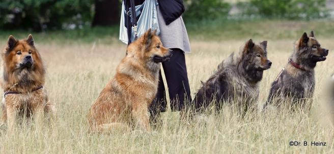 V. li.: Papa Buddy, Tochter Billie-Bijou, Mama Sanny und Tochter Bonny