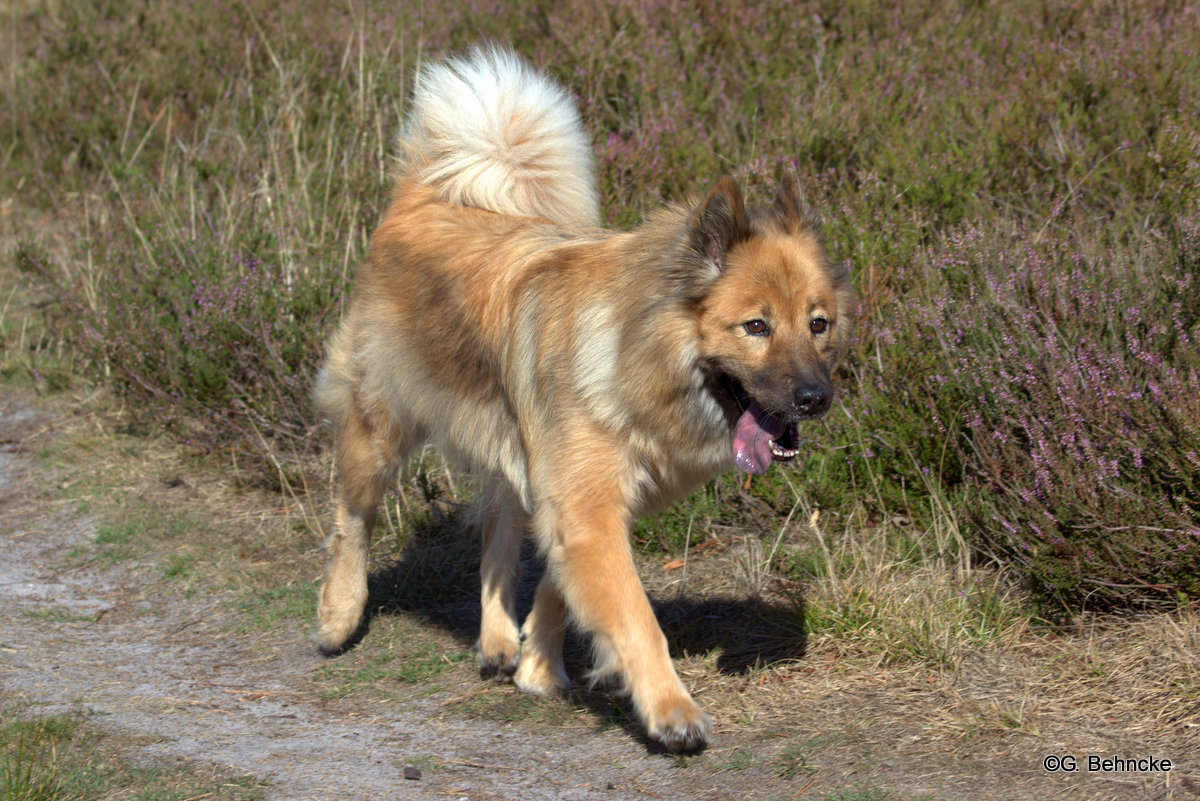 Aluna vom Bossardpfad