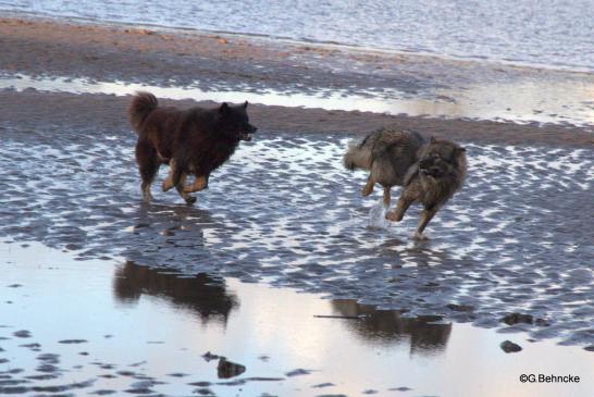 Birka(li.) und Betty(re.)