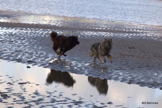 Birka(li.) und Betty(re.)