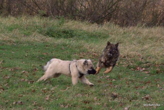 Buffy und Betty