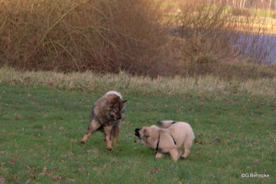 Buffy und Betty