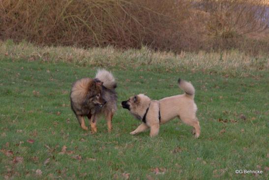 Buffy und Betty