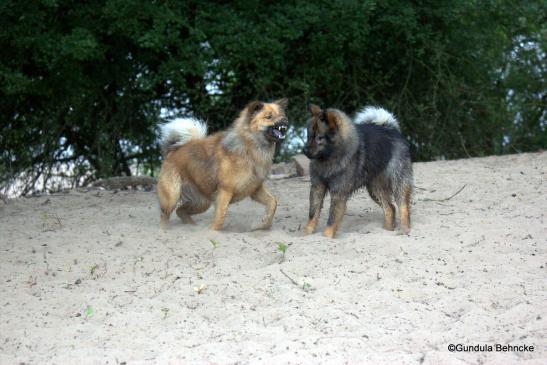 Billie(li.) und Bonny: eine spezielle Geschwisterliebe