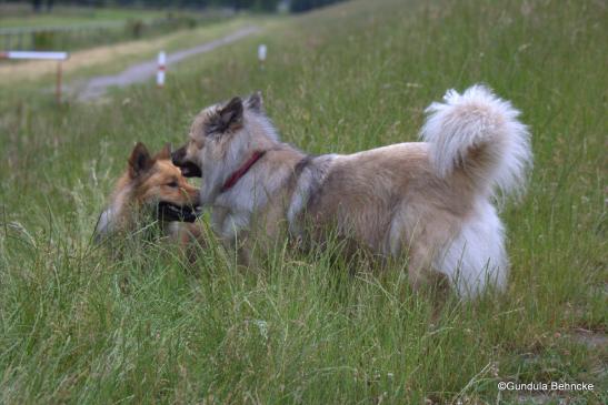 Billie(li.) und "Ziehoma" Aylana