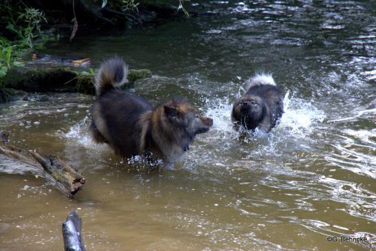 Sanny(li.) und Bonny(re.)