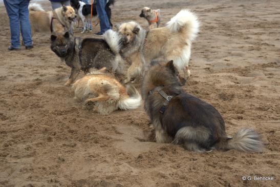 Sanny distanziert sich von ihrer flippigen Tochter Billie und guckt lieber weg.  