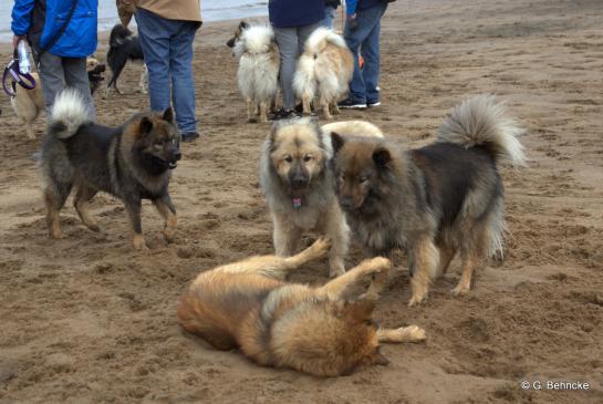 Billie lässt Bonny, Aylana und Sanny nicht schlecht staunen.