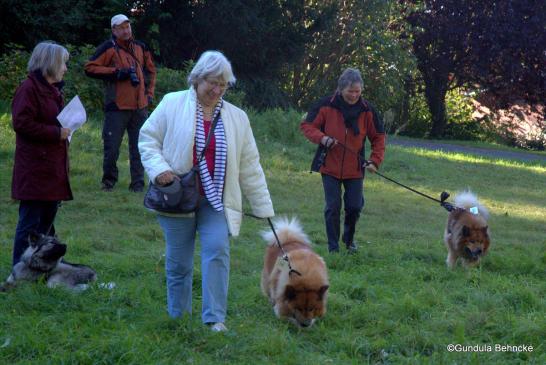 Edith Marahrens mit Bronja von der Wettloopsheide(vorne) und Ingrid Winkens-Wegner mit Buddy von der Wettloopsheide(hinten)