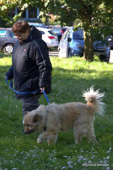 Frau Grothkopf mit dem 14-jährigen Falco vom Lachsbach