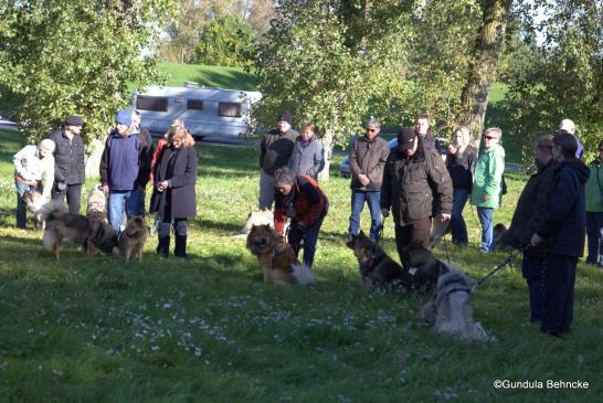 Buddy von der Wettloopsheide mit seinen Töchtern vom Bossardpfad und Besenhorst