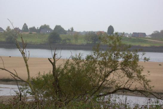 Stover Elbstrand im Nieselregen