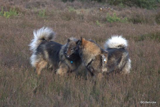 Sanny(li.) und Tochter Bonny(re.) 