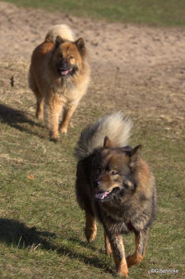 Betty(vorne) und Luna(hinten)