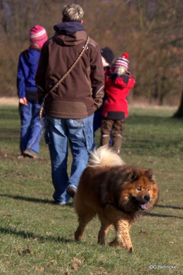 Bettys Familie und Buddy von der Wettloopsheide