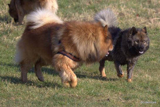 Buddy und Tochter Bonny