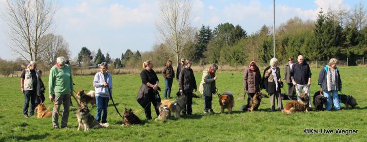 V.li.: Anuschka vun Norderdiek, Cheyenne vom Frankenforst, Buffy vom Besenhorst, Belana vun Norderdiek, Buddy v. d. Wettloopsheide, Bonny u. Billie-Bijou v. Bossardpfad, Coco-San(Sanny) v. Barschlüte, Isabella v. Lachsbach u. Blikki v. Bossardpfad        