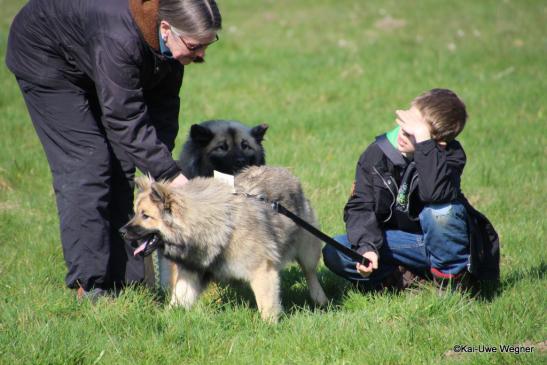 Belana vun Norderdiek(hinten) und Tochter Buffy vom Besenhorst(vorne)