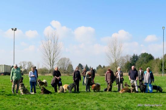 V.li.: Anuschka vun Norderdiek, Cheyenne vom Frankenforst, Buffy vom Besenhorst, Belana vun Norderdiek, Buddy v. d. Wettloopsheide, Bonny u. Billie-Bijou v. Bossardpfad, Coco-San(Sanny) v. Barschlüte, Isabella v. Lachsbach u. Blikki v. Bossardpfad      