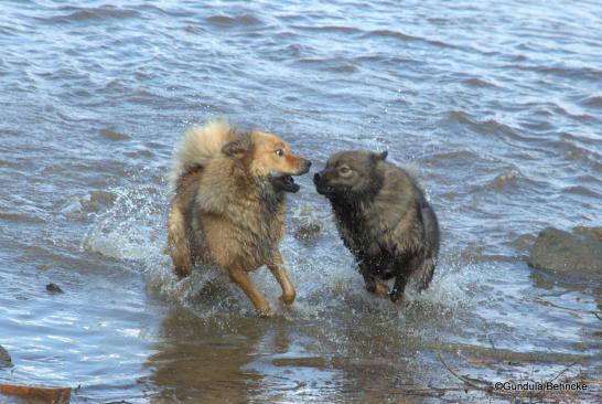 Billie und Bonny