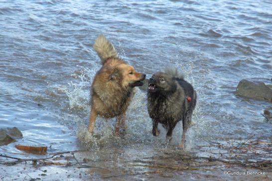 Billie und Bonny