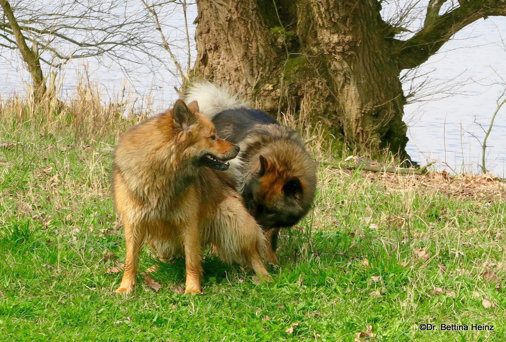 Billie-Bijou und Bonny
