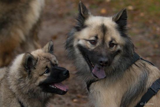 Buffy(li.) und Mama Belana(re.)