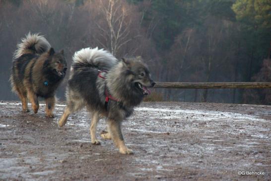 Sanny(hinten) und Nichte Eskia(vorne)