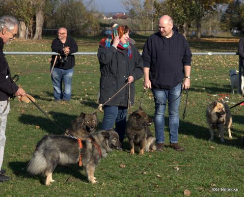 v.li.: Blikki vom Bossardpfad(vorne), Mama Coco-San(Sanny) von Barschlüte, Bonny vom Bossardpfad, Buffy vom Besenhorst