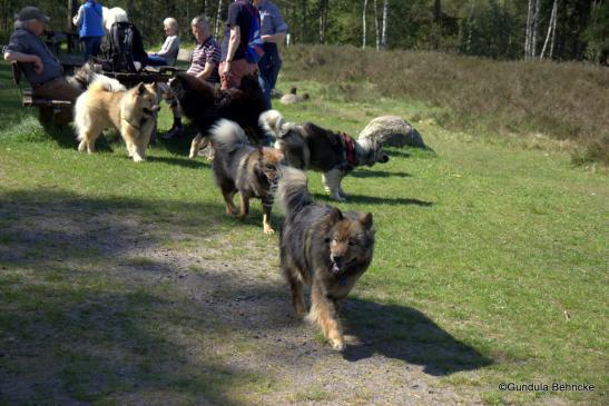 Im Vordergrund: Mama Sanny und Tochter Bonny(dahinter)