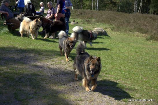 Im Vordergrund: Mama Sanny und Tochter Bonny(dahinter)