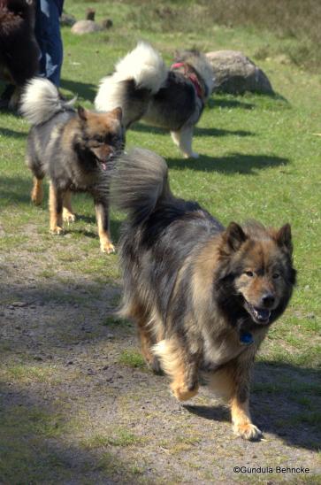 Im Vordergrund: Mama Sanny und Tochter Bonny(dahinter)