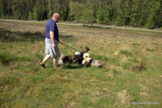 Unser Trio mit Herrchen am Büsenbach