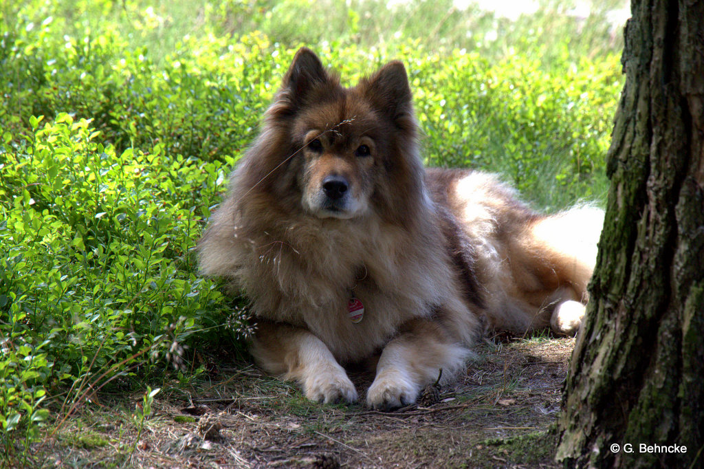 Franka von der Saline