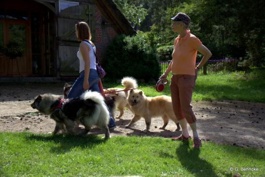 Eskia von Barschlüte(vorne li.) und Catoki von Barschlüte(hinten re.)