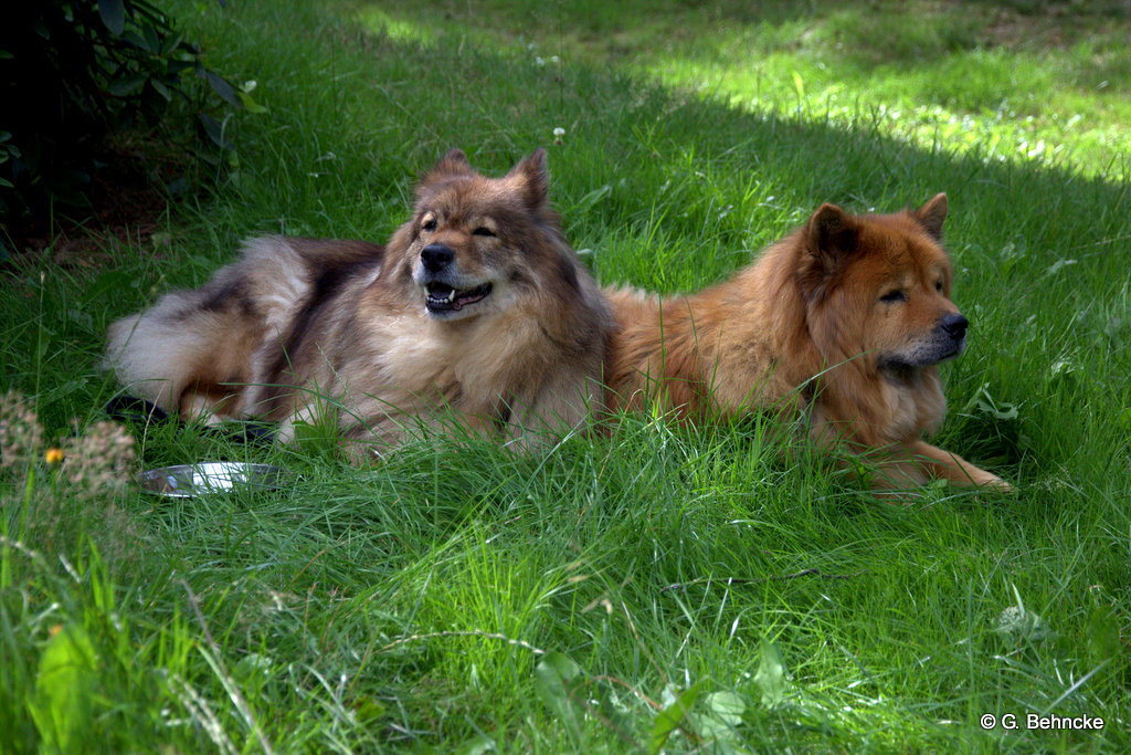 Franka v. d. Saline(li.) und Sina