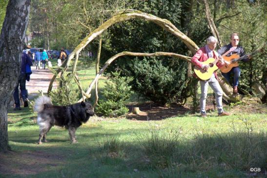 Beppo lauscht den Gitarrenklängen