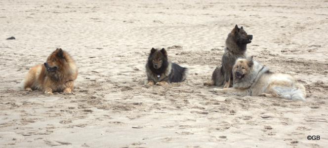 V. li.: Papa Buddy, Mama Sanny, Tochter Bonny und Ziehoma Aylana 