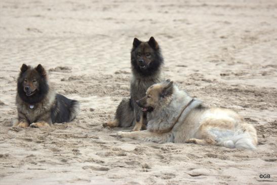 V. li.: Mama Sanny, Tochter Bonny und Ziehoma Aylana 