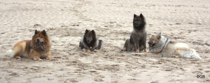 V. li.: Papa Buddy, Mama Sanny, Tochter Bonny und Ziehoma Aylana 