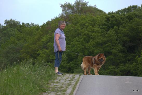 Buddy mit seinem Frauchen