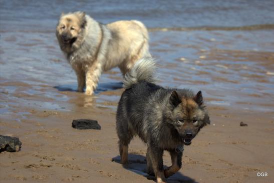 Aylana(hinten) und Bonny