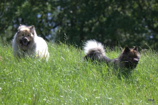 Aylana(li.) und Bonny