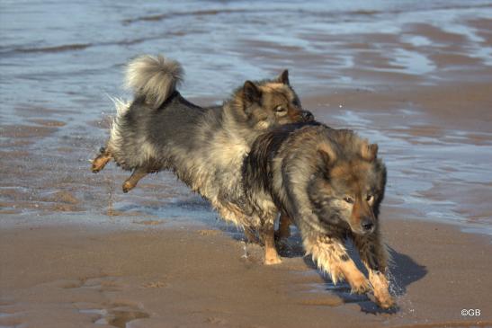 Sanny(vorne) und Tochter Bonny