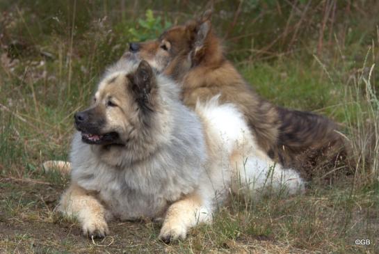 Aylana(vorne) und Franka