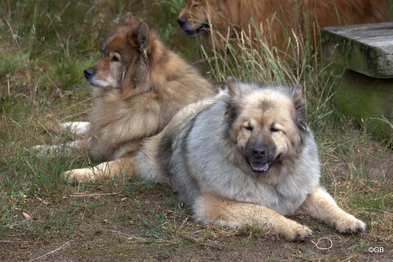 Aylana(vorne) und Franka