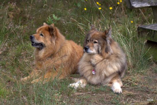 Sina(li.) und Franka