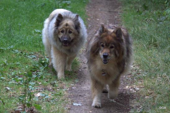 Aylana(li., hinten) und Franka